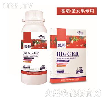 ʥŮ(zhun)ø߷ӏ(f)ЙC(j)Һ-̸-ɭr(nng)I(y)