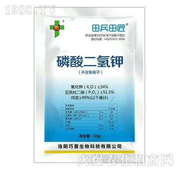 ��������-����ｳ-�����_(d��)