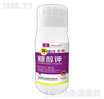 ȻǴw-Ǵ-֝(rn)-̩(li)