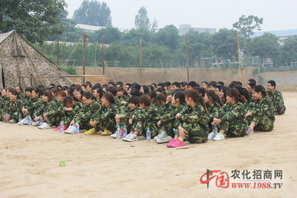 組建團隊,一個都不能少