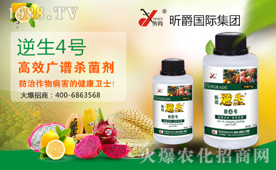 張燈結彩新春到,鞭炮聲聲人歡笑。開開心心無煩惱,順順利利事業(yè)高!值此新春佳節(jié)來臨之際,昕爵國際集團祝大家在新的一年里財源滾滾來!