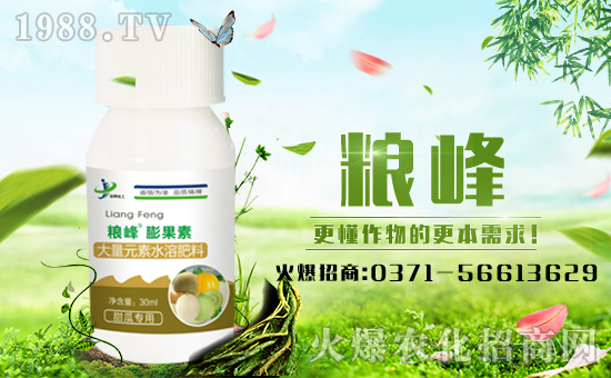 【金牌化工】祝全國朋友新的一年里財(cái)源滾滾來!