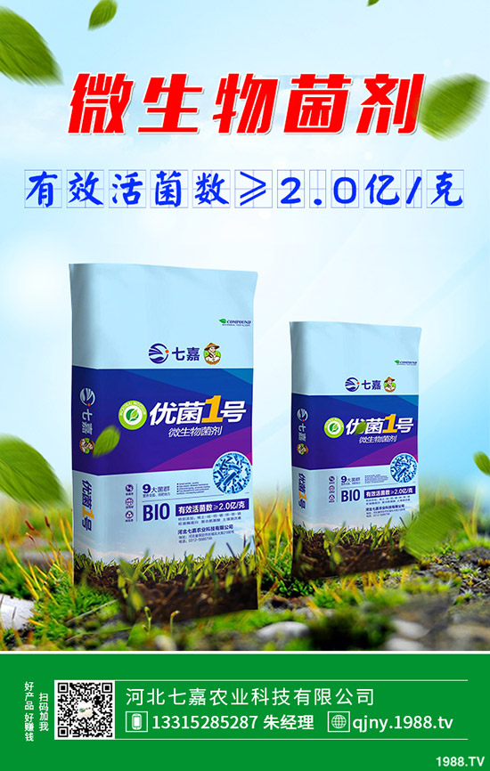 荷蘭豆什么時(shí)候種植好，荷蘭豆種植技術(shù)！