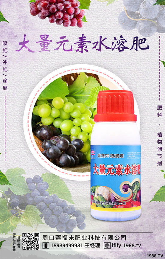 ��С�����N����粻�R����ô������С�����粻���A(y��)����ʩ��