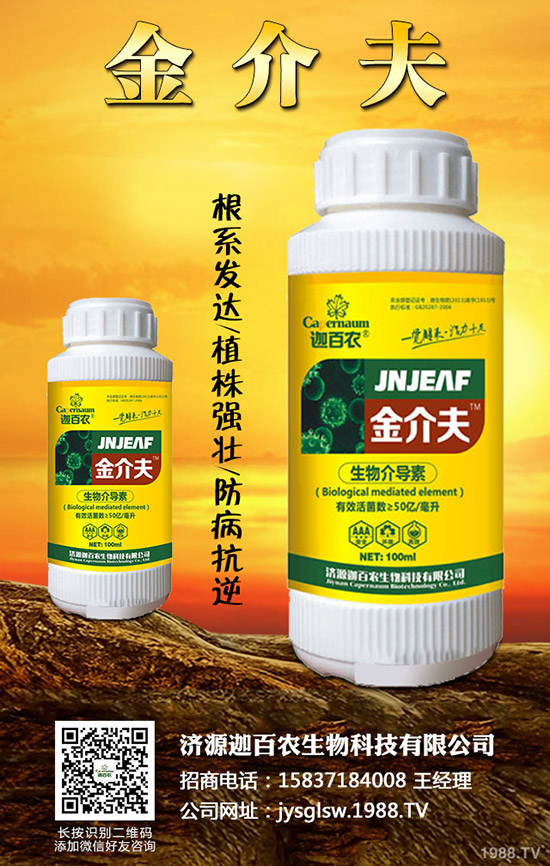 ���������o��������ô�k�������o���������\���c������