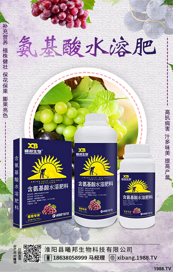 �＾�}����ô�Nֲ���＾�}���Nֲ���g(sh��)������Ҫ�c(di��n)��