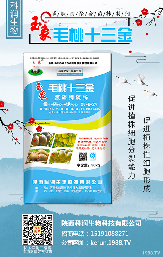 2019-10-30最新二銨價(jià)格行情動(dòng)態(tài)評(píng)述,多少錢(qián)一噸?