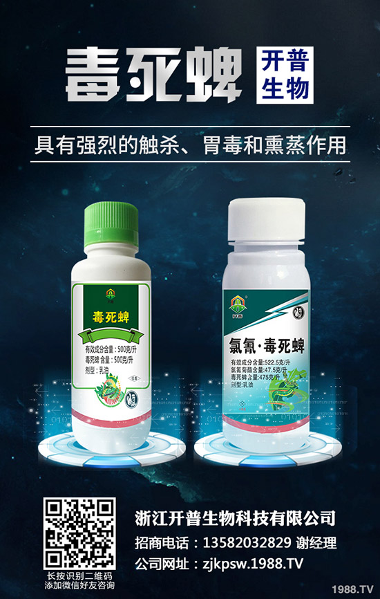 �＾�Nֲ��Щ�߲˺����＾�߲˷Nֲָ����