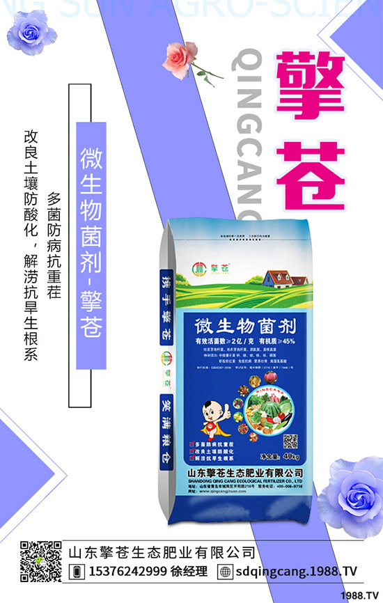    2019��11��1�ս������¸��؅^(q��)�����������S��(b��o)�r(ji��)һ�[