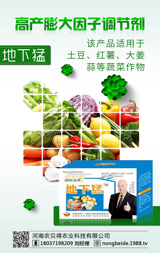 �ЙC(j��)��ײ˵ķNֲҪ�c(di��n)��֪���᣿�ЙC(j��)��ײ˷Nֲ���g(sh��)��