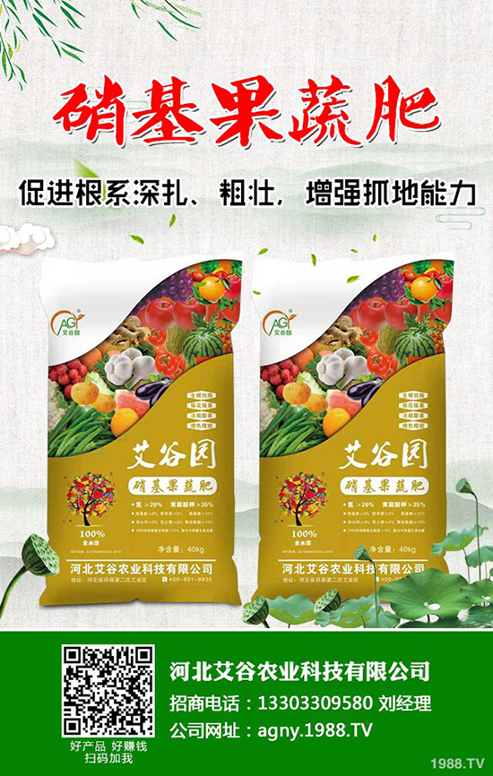 ���@�r���µ�һ��2019��11��16�����@�r����S��rһ�[