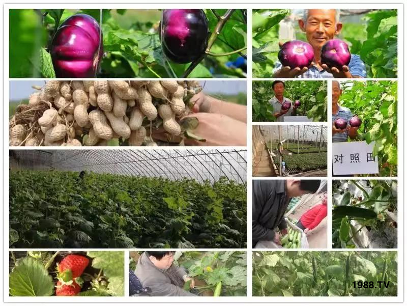 �VԴ�S����⛡�����Ʒ����1����=8���ЙC(j��)�����½�Դ�^ֱ�l(f��)������