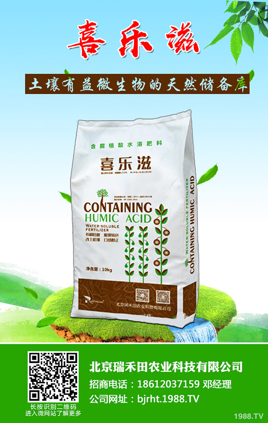 怎樣才能種好豆角呢？豆角的種植管理技巧！
