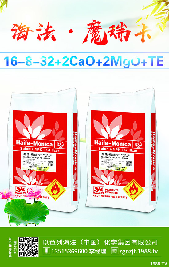     2019��11����Ѯ������@�r(ji��)�������߄ݾC�Ϸ�����