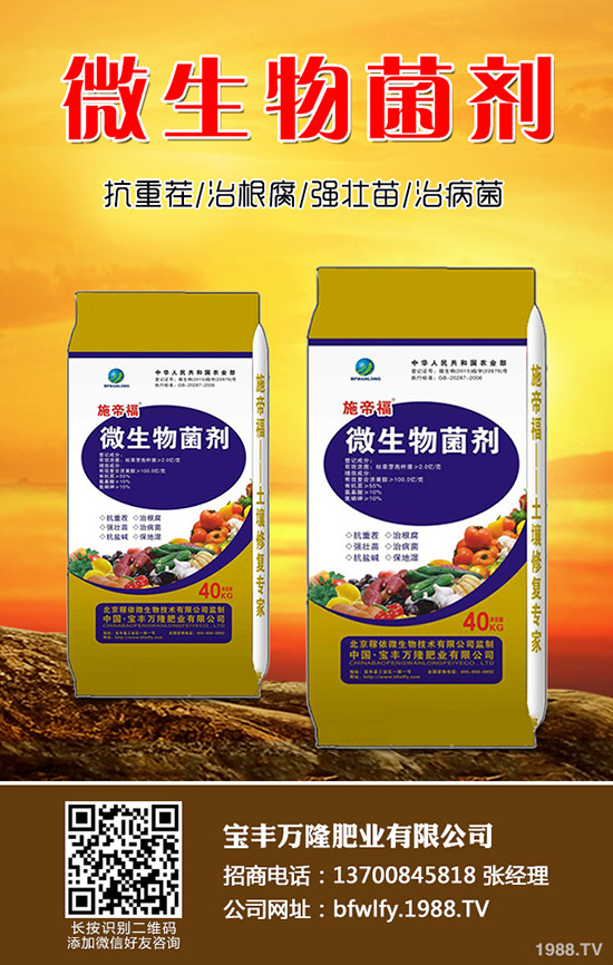 ���m���Nֲ��������Щ�����m���Nֲע�����(xi��ng)��