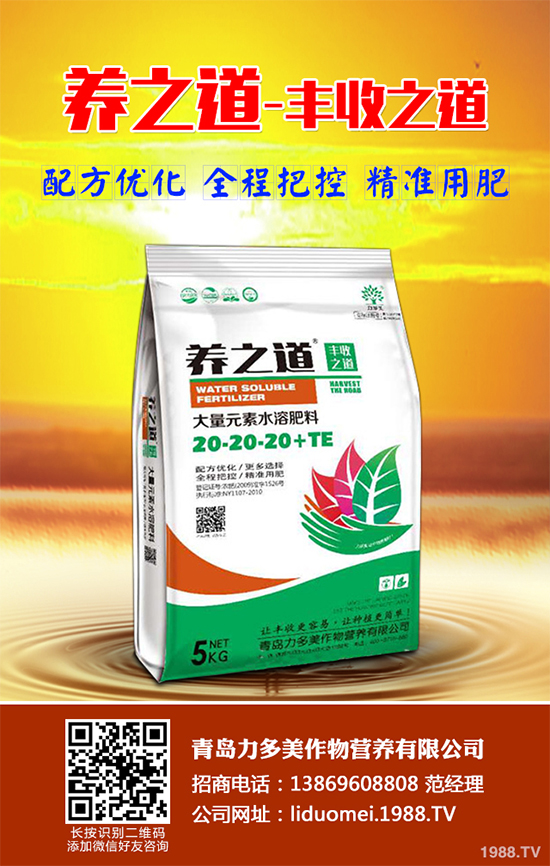 ��Ƥ�ɼٻ���զ��������Ƥ�ɼٻ��Q��ʩ