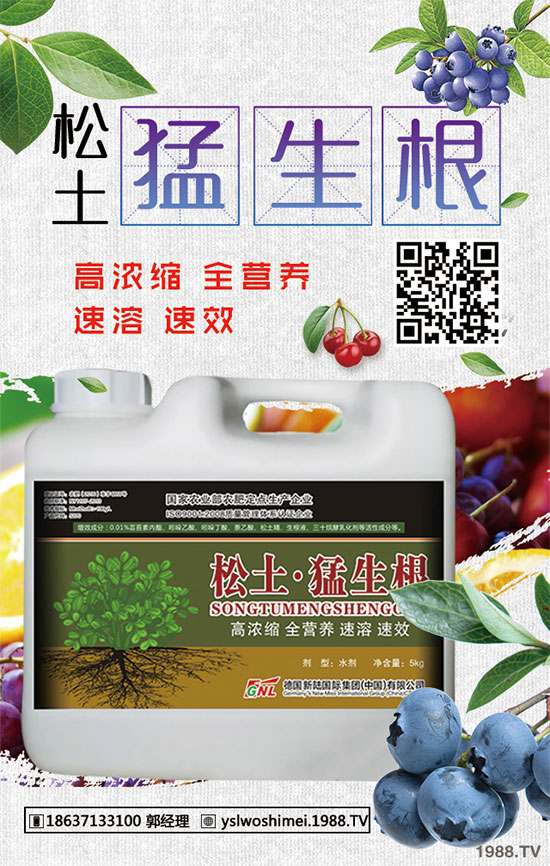 ��������Щ��Ч�����������ӵ�ʳ�ý�����