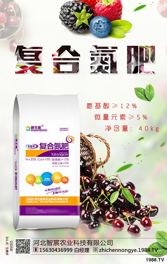 2019.11.29������ӯ̝��߅��ԇ̽���������������Ј���r��