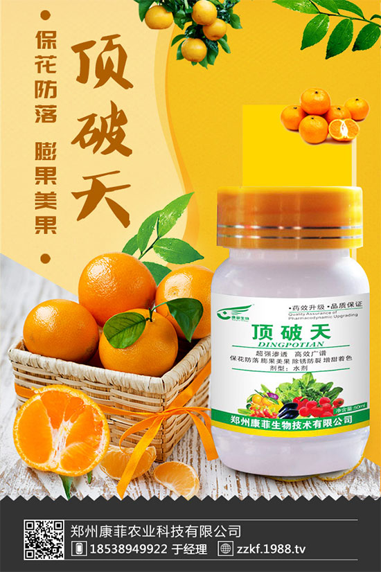 ���ٞ�ʲô���S�~�������S�~�Ľ�Q��ʩ��