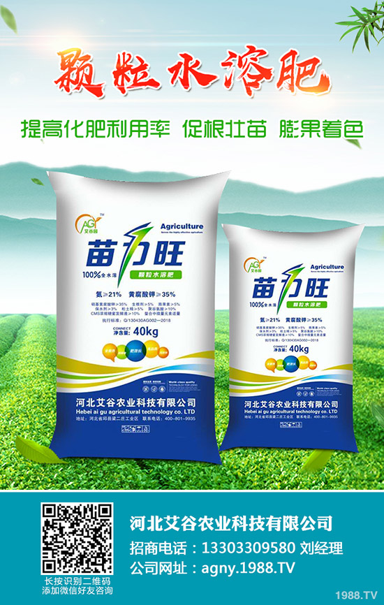 2019-11-30�������¶��@�r���Ո���������@��I(y��)���S�����rһ�[��