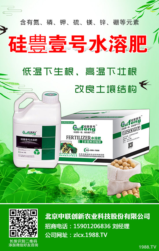 �ͺϷʵ�������r���������ͺϷ�����C�Ϸ���2019-11-30