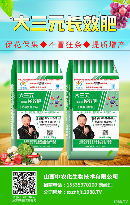     復(fù)合肥冬儲行情下沉！2019年11月4日今日復(fù)合肥出廠參考報一覽！