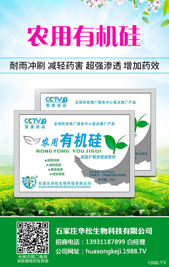 �ʲݵķNֲ��������Щ���ʲݷNֲ��Ҫʲô�ӭh(hu��n)����