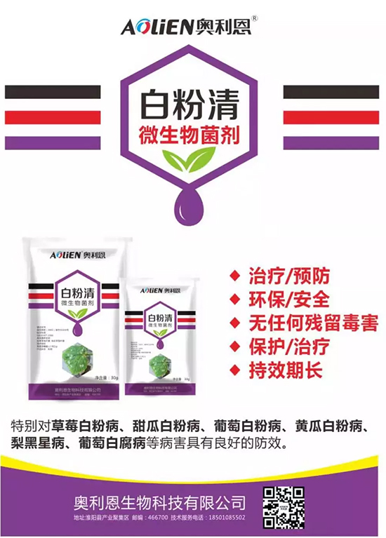 �׷۲��������y�p���� ӛס�@��ˎ����Ч���ΰ׷۲����P����