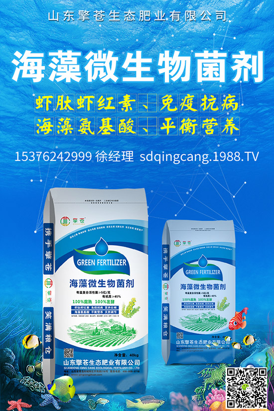 尿素價格跌出新價!2019年11月初尿素行情走勢分析及后市預測!