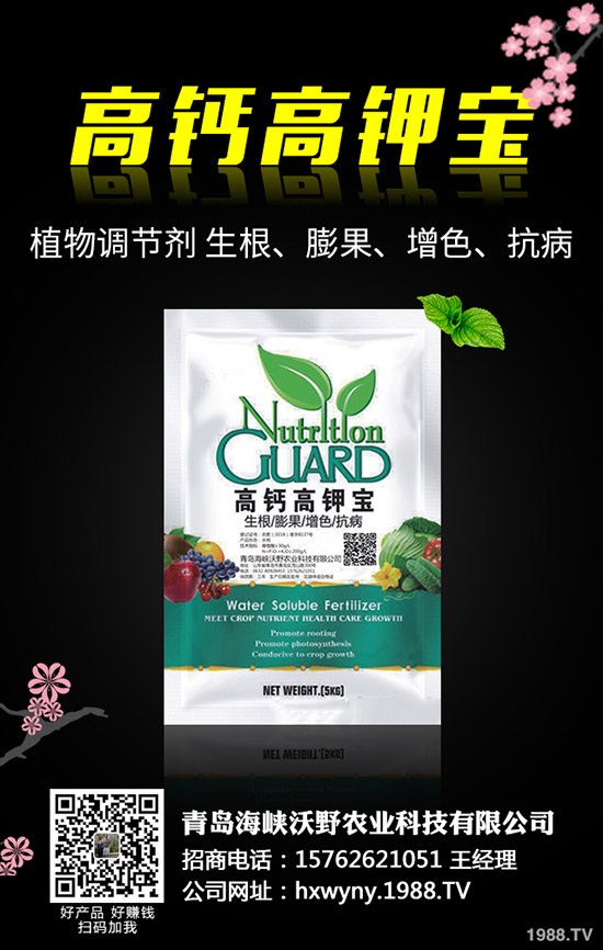 С�����s��ʲô�r(sh��)����θ�����С���s�ݽ�Q������