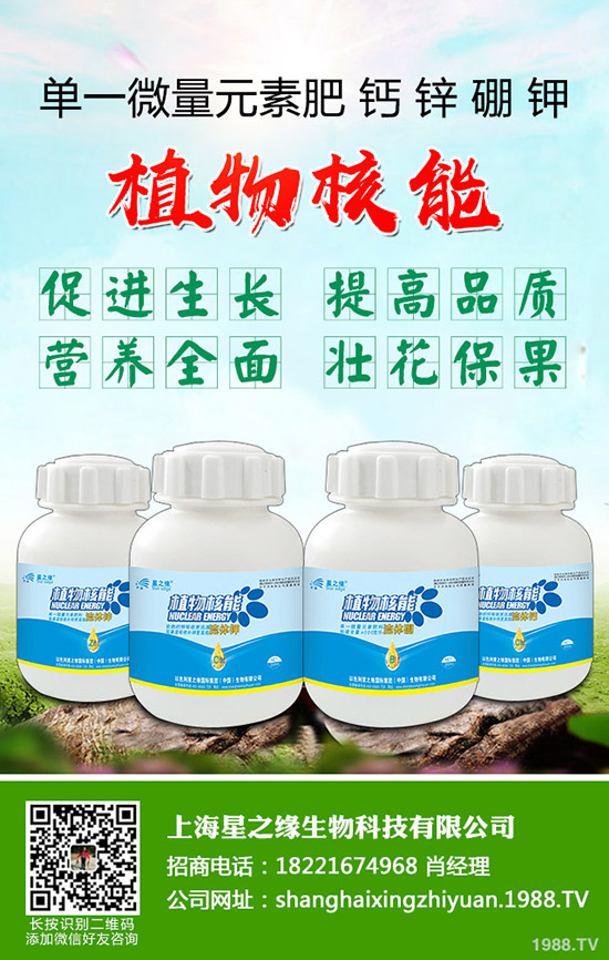 ѿ�����ӷNֲ��ѿ�˷Nֲ���g(sh��)���˽������