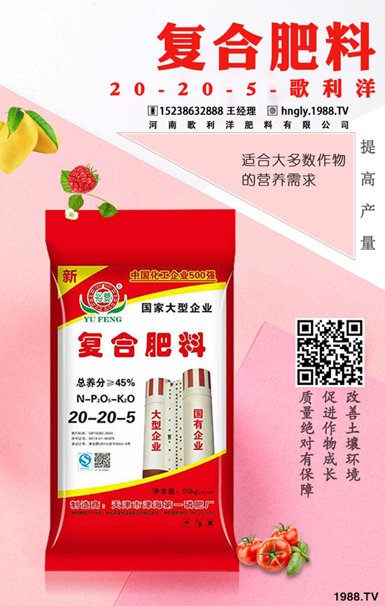     ������ټق����ġ����������ʷʁ��q�桱