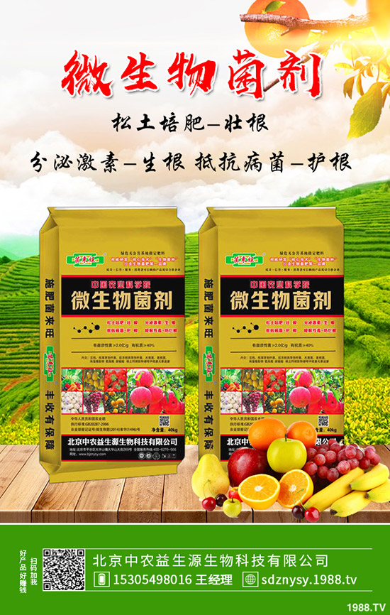     ��(f��)�Ϸʽ���r�񡰱��ס���2019-12-12���������߄ݾC�Ϸ�����