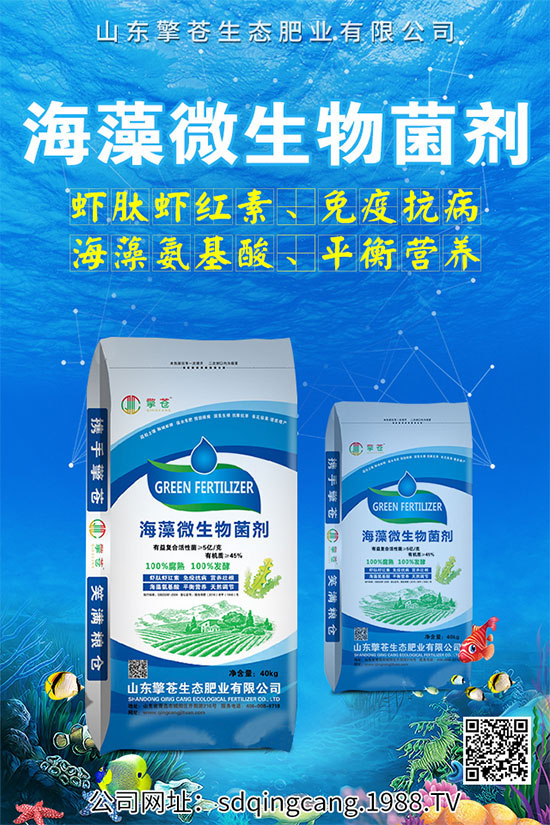 ������˥ʲô�Y����������˥�ķ��δ�ʩ��