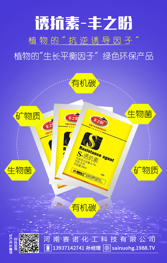 �׷ʡ����p���b�e����e�Ϯ�(d��ng)