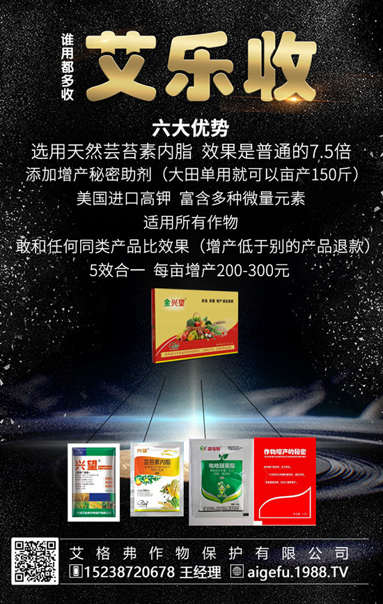 ⛷�С�������҂�һ����������