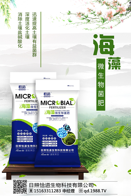 龍膽草的分布地區(qū)，龍膽草的功效與作用！