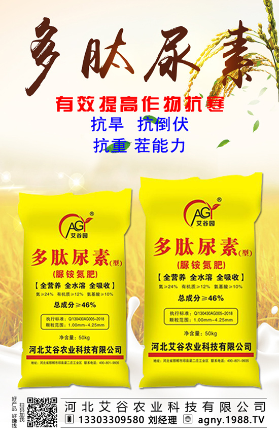 �~���������֮���(l��i)��