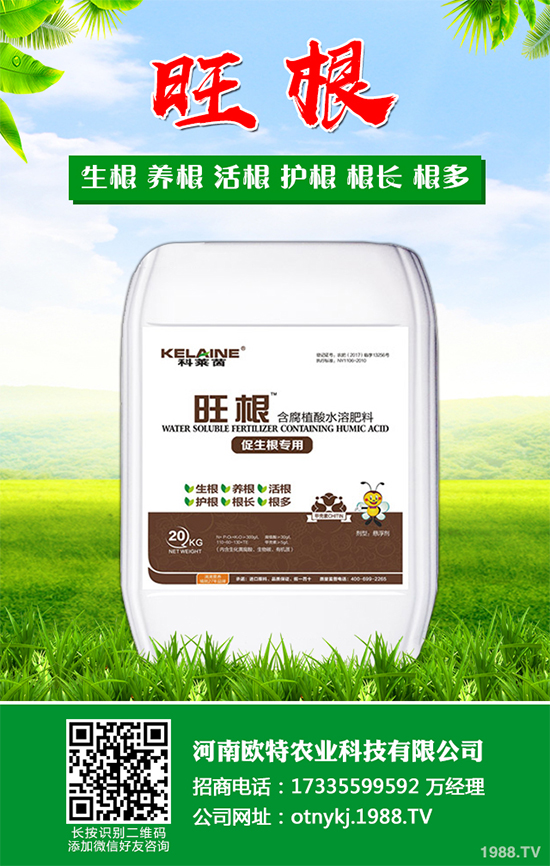 Ģ���Nֲ��Ҫʲô�l����Ģ���Nֲ�h(hu��n)��Ҫ��