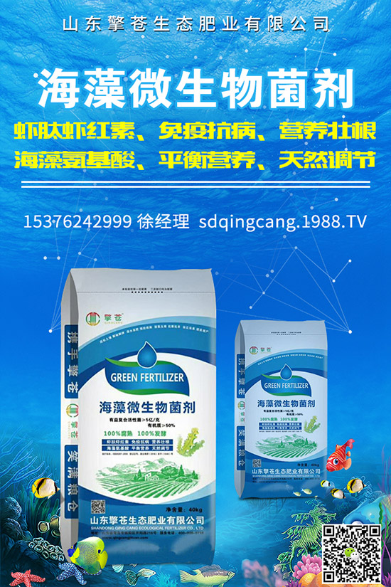 2019年12月2日復(fù)合肥行情回暖!最新企業(yè)出廠參考報(bào)價(jià)一覽!