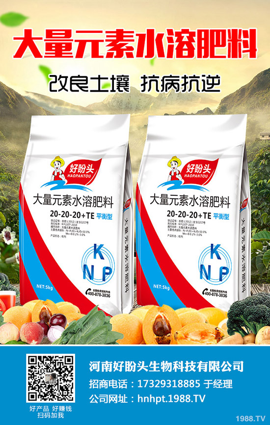 С������ĺ�̎����Щ��С������ע��Ҫ�c(di��n)��