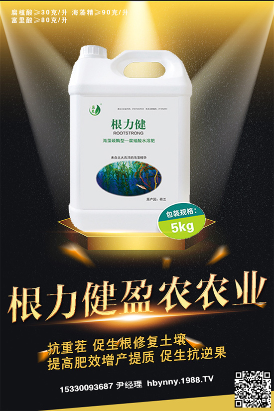     ������ȥ�������_�����_���Ϸ���ע�⡰���ɡ�