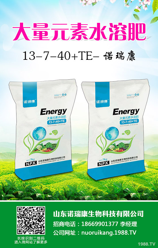     �R�����P(gu��n)��2020�������Ј���������׃�����������������