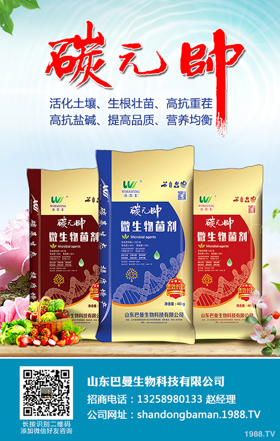 尿素價(jià)格小幅度變動!12月24日各地區(qū)尿素主流出廠報(bào)價(jià)!