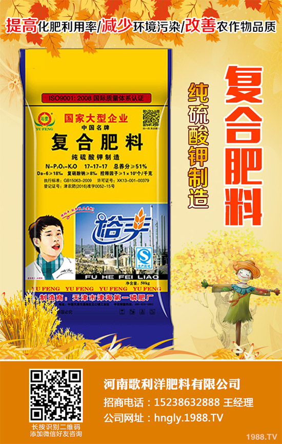 老虎姜該怎么種植?老虎姜高產(chǎn)種植技術(shù)管理