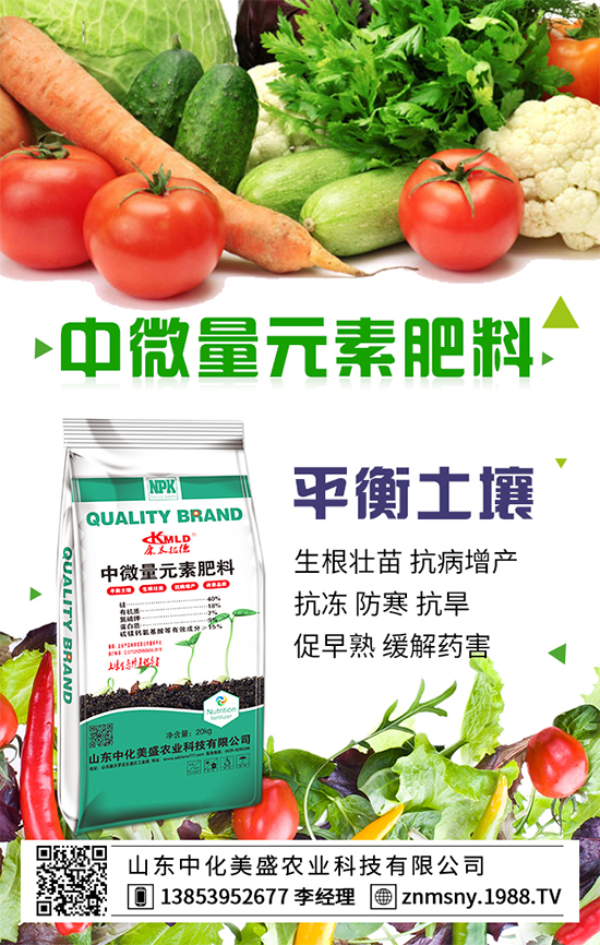 ��乽��ηNֲ����乽�ķNֲ���g(sh��)��