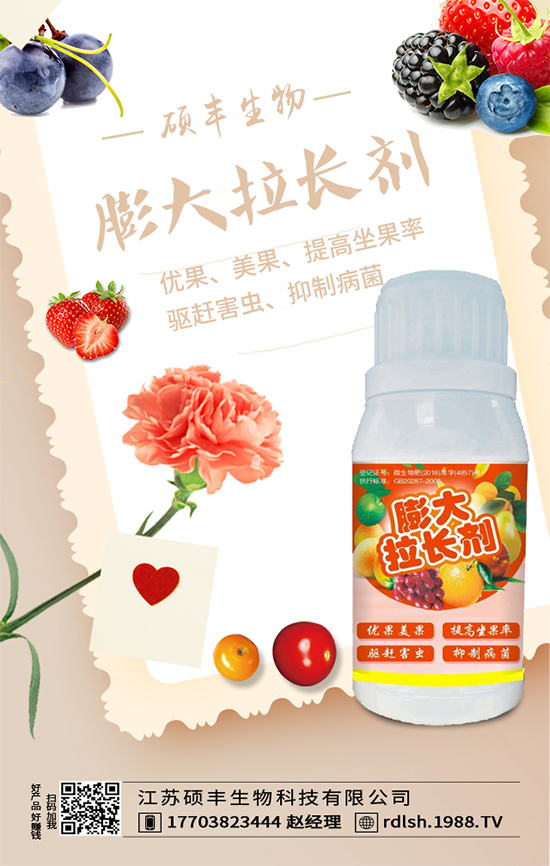 大棚西芹怎么種植？西芹的種植環(huán)境要求！