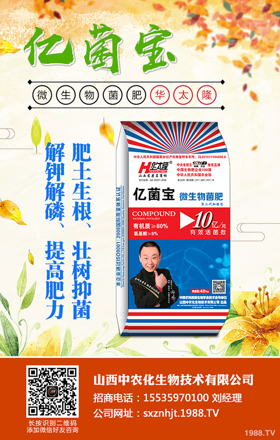     ���@�r(ji��)���Դ�С���»����g��2019��12�µ�������@���������