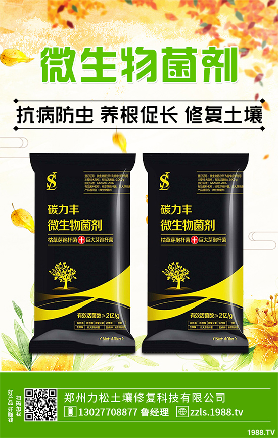 �Nֲʲôˎ����ٍ�X(qi��n)��2020����ˎ�ķNֲǰ������