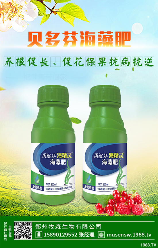 天麻該怎么種植?天麻的環(huán)境要求及種植技巧